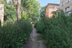 Пора приглашать англичан в Великие Луки (ФОТО)