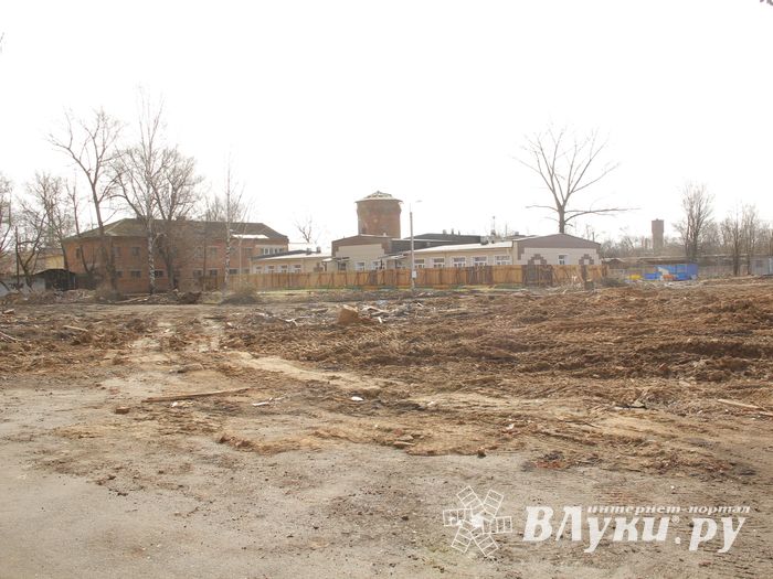 Директор школы № 6: Процесс идет интенсивный, но это внешне не видно (ФОТО)