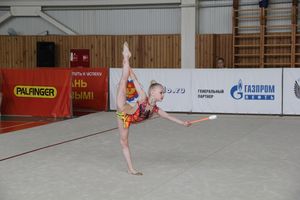 Гимнастика