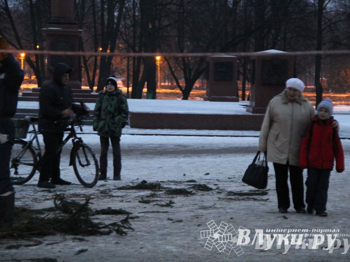 В Великих Луках установили новогоднюю елку (фото)