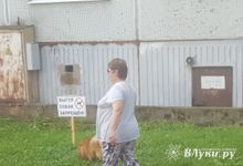 ФОТОФАКТ: Тяжелые отношения собак и газонов 