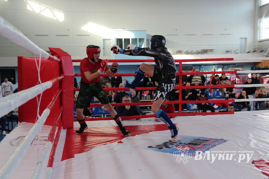 В Великих Луках завершился открытый кубок по смешанному боевому единоборству ММА (ФОТО)
