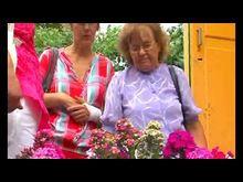 Импульс-ТВ: Флоксы в усадьбе Виноградова