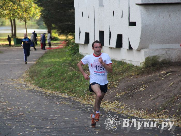 Кросс нации