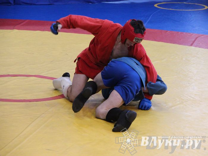 Первенство Псковской области по самбо