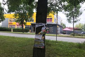 «Прибинтовали» скотчем (ФОТО)