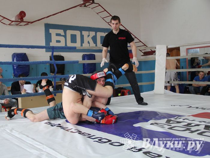 В Великих Луках прошел Чемпионат области по смешанному боевому единоборству (фото)