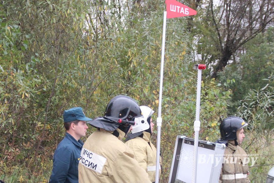 В Великих Луках тушили поезд (ФОТО)