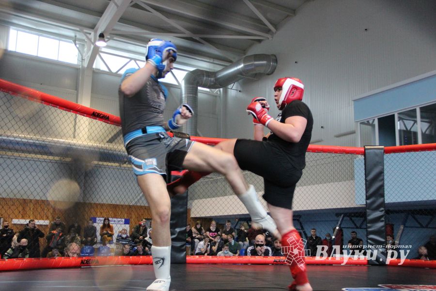 В Великих Луках прошел кубок по смешанному боевому единоборству (ФОТО)
