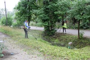 В Великих Луках косят (ФОТО)