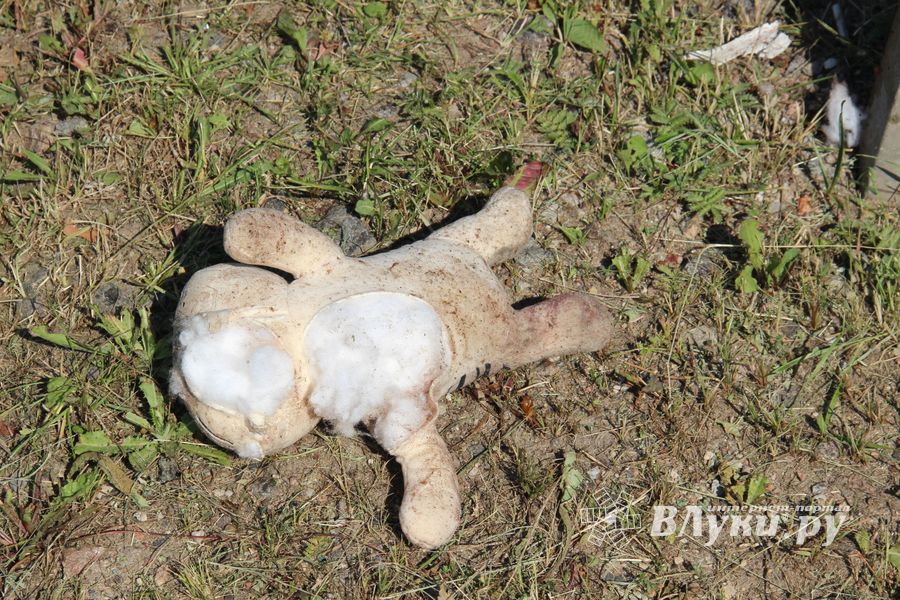 В страшном ДТП под Куньей погибли бабушка, дедушка и внучка (ФОТО)