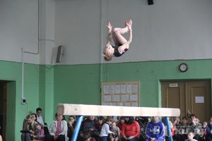 В Великих Луках прошел турнир по спортивной гимнастике (фото)