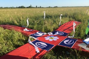 Автор фото Дарья Хвоинская