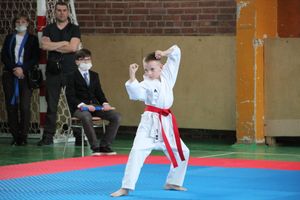 Открытый Кубок города Великие Луки по каратэ WKF (ФОТО)