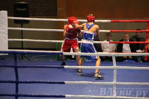 16-й Международный турнир по боксу (фото)