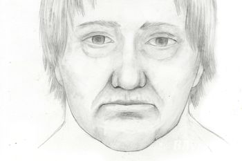 В Псковской области устанавливается личность убитой женщины (фото)