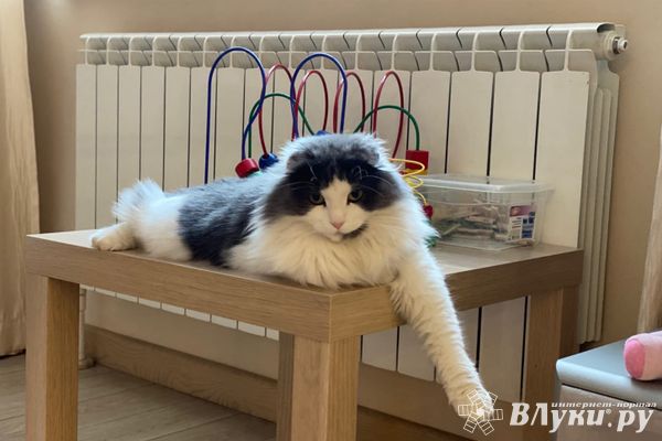 В Псковской области начался отопительный сезон