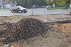 В Великих Луках на Дружбе проводятся дорожные работы (фото)