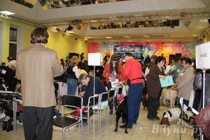 Всероссийская выставка собак в Великих Луках (фото)