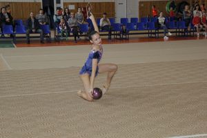 В Великих Луках прошло Открытое первенство города по художественной гимнастике (ФОТО)