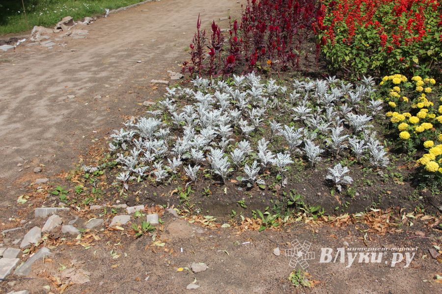 Великие Луки: краски, парки и «движение затруднено» (ФОТО)