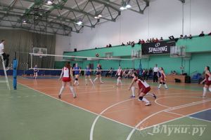 В Великих Луках прошли международные соревнования по волейболу (фото)