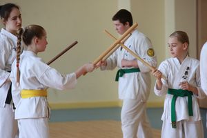 Ученики школы Дзюшин-рю кэмпо каратэ постигали искусство кобудзюцу (ФОТО)