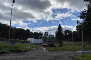 Новости из будущего парка Петровского (ФОТО)