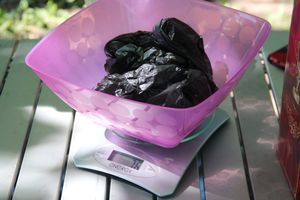 В Великих Луках состоялся Чемпионат города по ловле рыбы спиннингом (ФОТО)