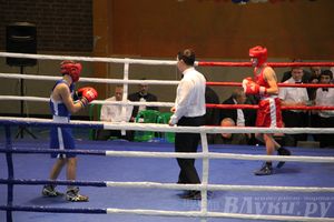 16-й Международный турнир по боксу (фото)