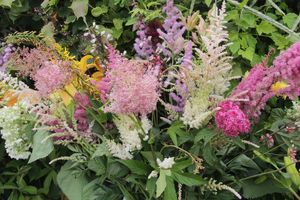 «Парад детских колясок» в День семьи, любви и верности (ФОТО)