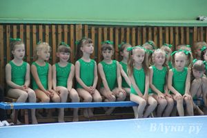 В Великих Луках состоялось Первенство по командной гимнастике (фото)