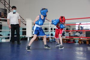 В Великих Луках завершился открытый турнир по боксу (ФОТО)