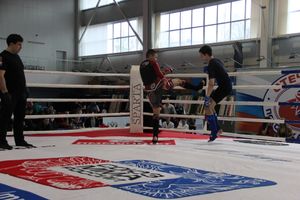 Открытый кубок по смешанному боевому единоборству ММА прошел в Великих Луках (ФОТО)