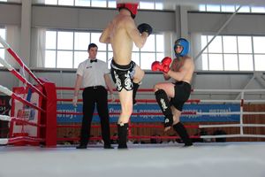 В Великих Луках прошел Кубок области по кикбоксингу (ФОТО)