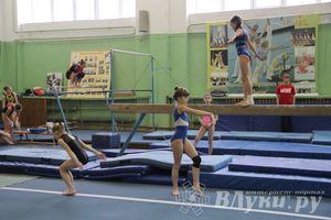 В Великих Луках прошло Первенство Области по спортивной гимнастики (фото)
