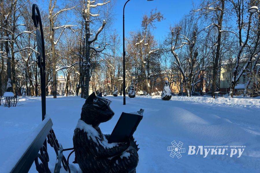 ВЛуки.ру