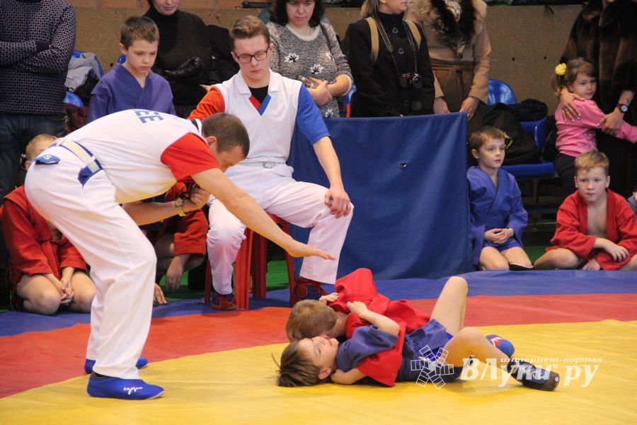 В Великих Луках проходит турнир самбистов (ФОТО)