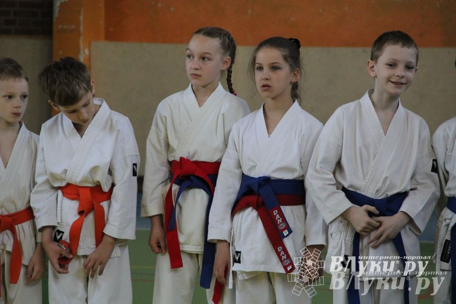 Великолучане стали победителями турнира по каратэ «Неприкосновенный запас, дети — Отчизны 2015» (фото)