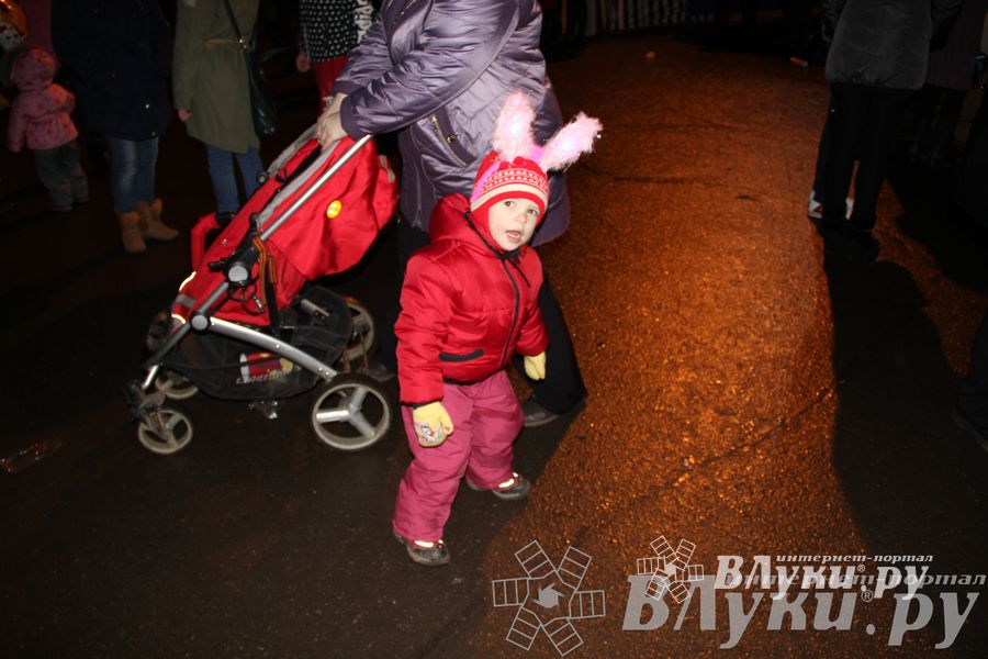 Праздник городской новогодней елки