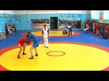 Импульс-ТВ: Областное первенство по самбо 