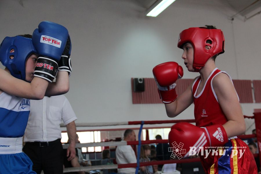 В Великих Луках прошло Первенство города по боксу (ФОТО)