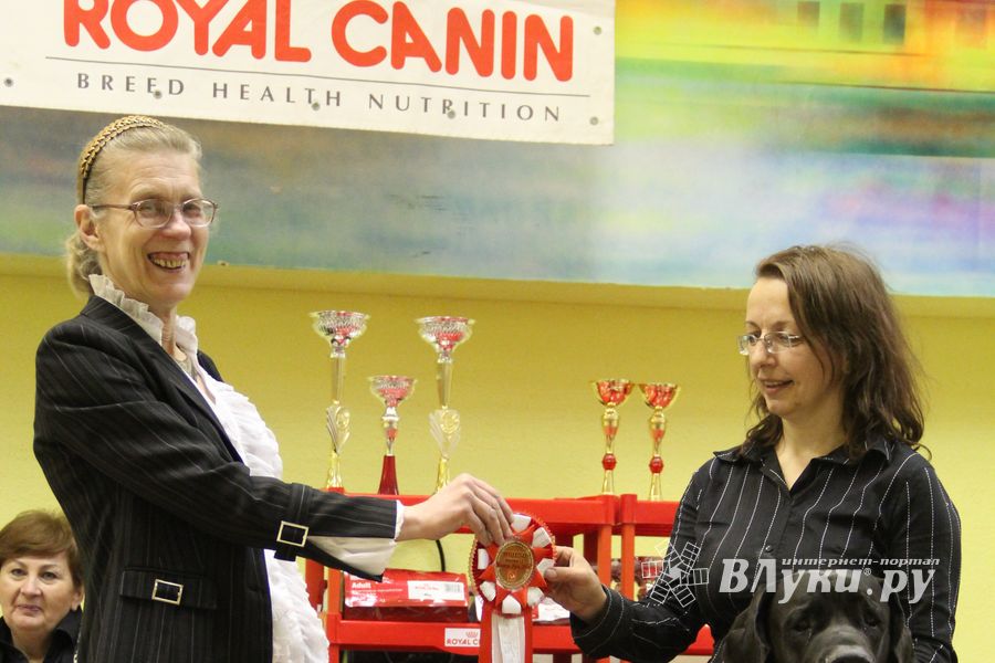 Всероссийская выставка собак «Великие Луки — 2014»