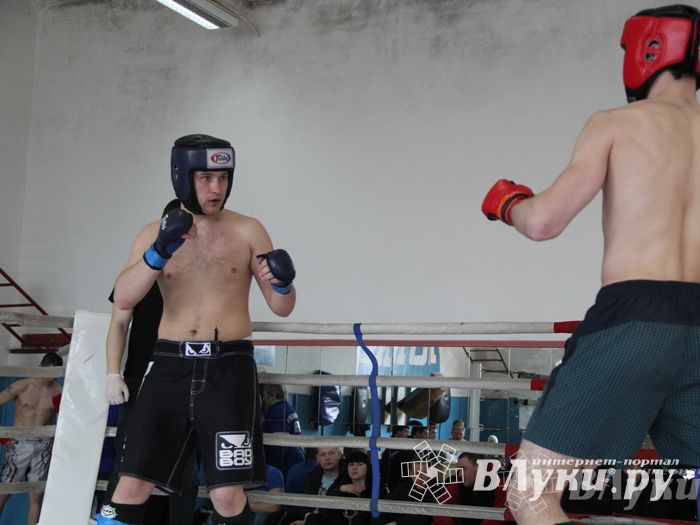 В Великих Луках прошел Чемпионат области по смешанному боевому единоборству (фото)