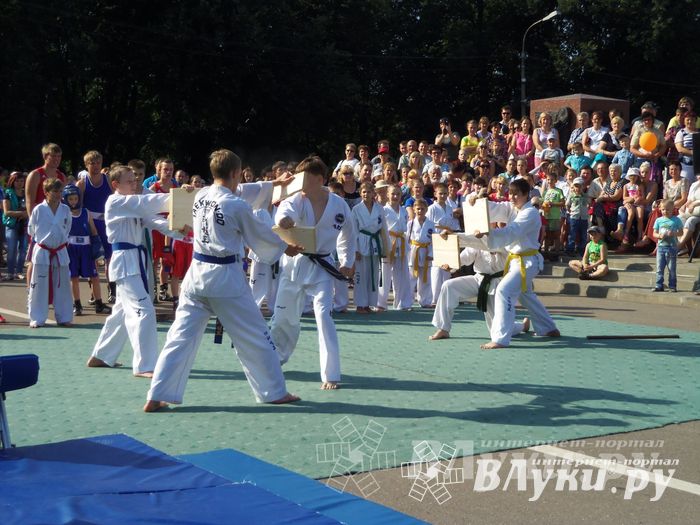 Спортивный фестиваль в День города