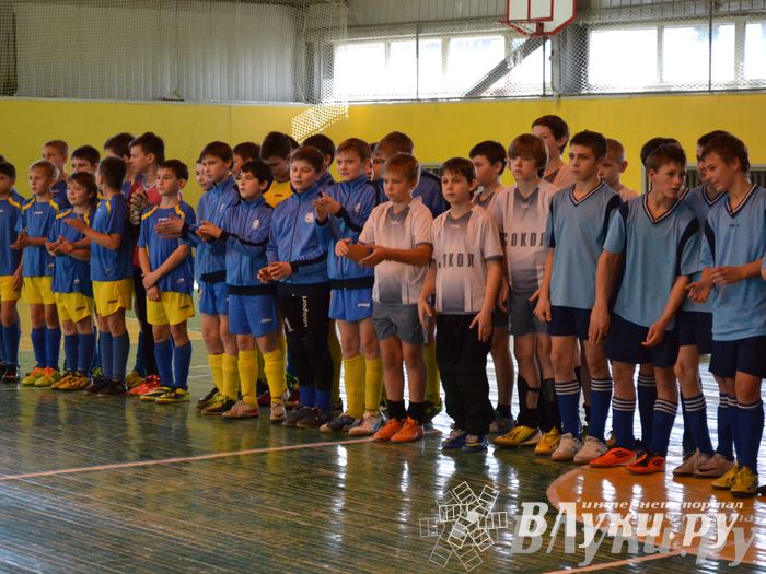 XII Традиционный Международный открытый турнир по мини-футболу среди юношей 2001-2002 г. р.