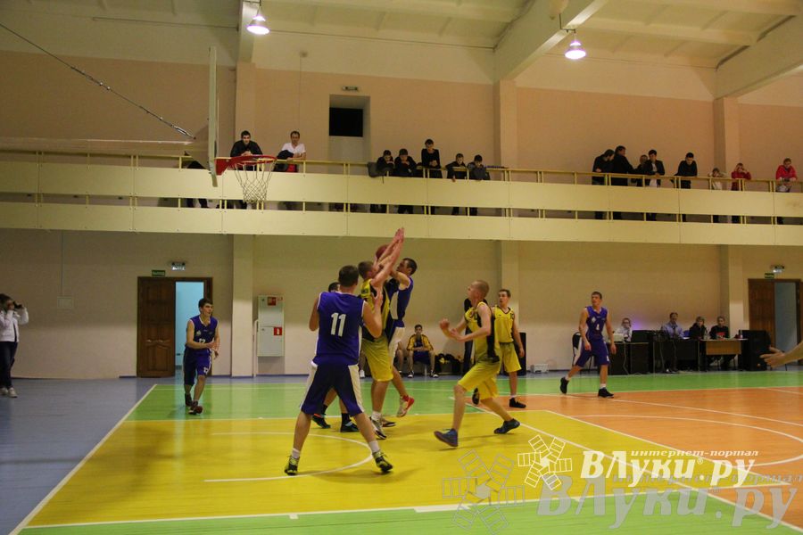 В Великих Луках проходят игры Чемпионата АСБ (фото)