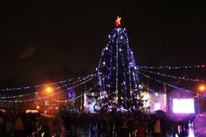 Дождик не помешал открытию городской ёлки (ФОТО)