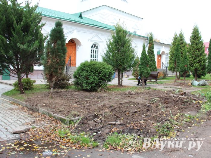 Куда исчезли пихты у Свято-Вознесенского собора в Великих Луках