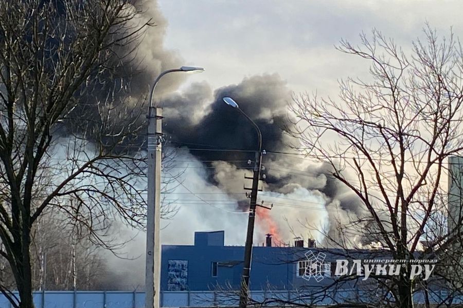 Очевидцы о новых подробностях пожара на заводе ЗЭТО (ФОТО; ВИДЕО)